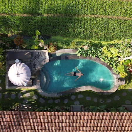 Umakelod Sebatu Villas Ubud  Exterior photo