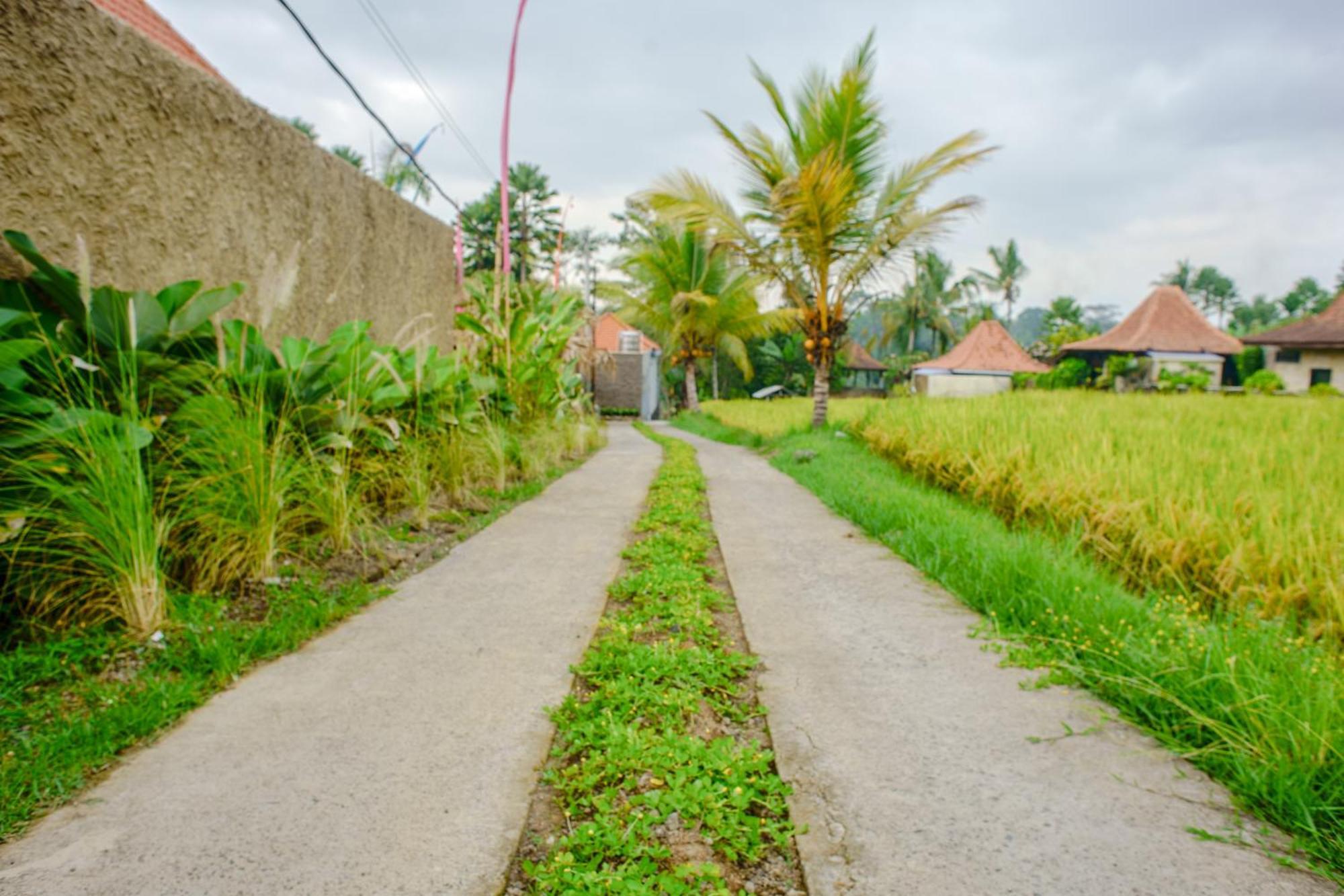 Umakelod Sebatu Villas Ubud  Exterior photo